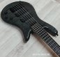 Preview: Spector Euro 5 Bantam, Black Stain Gloss