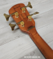 Preview: Spector Euro 4 Artist Doug Wimbish, Amber Gloss