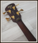 Preview: Spector Euro 4 Artist Rex Brown, Desert Gold, Signature