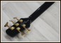 Preview: Spector Icon NS-5 Neck-Through, Haunted Moss