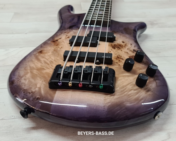 Spector Euro 5 CST, Natural Violet Burst Gloss