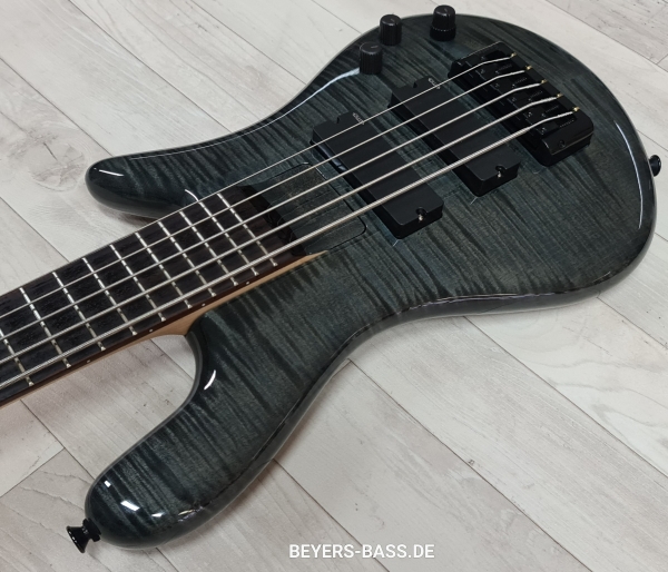 Preview: Spector Euro 5 Bantam, Black Stain Gloss