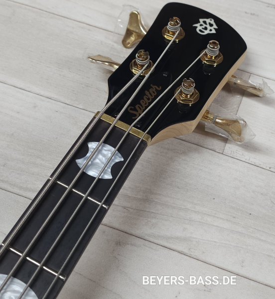 Spector Icon NS-2 Bolt-On, Black Gloss