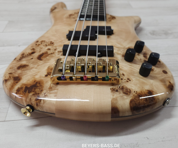 Preview: Spector Euro 5 CST,  Natural Gloss