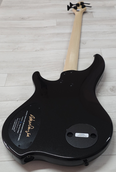 Dingwall JT3 John Taylor 4-String, Stealth Black, Signature