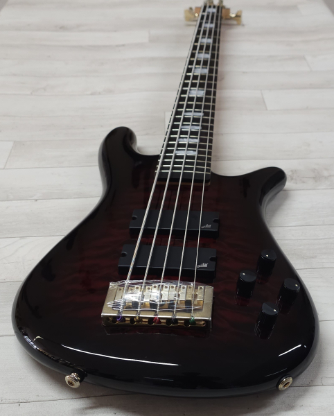 Spector Icon NS-5 Bolt-On, Black Cherry Gloss
