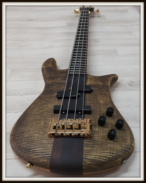 Spector Euro 4 Artist Rex Brown, Desert Gold, Signature
