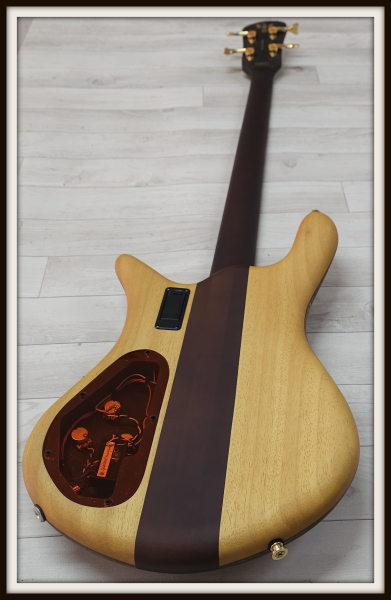 Spector Euro 4 Artist Rex Brown, Desert Gold, Signature