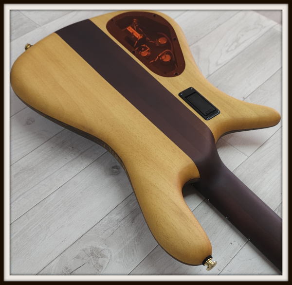 Spector Euro 4 Artist Rex Brown, Desert Gold, Signature