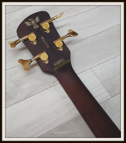 Spector Euro 4 Artist Rex Brown, Desert Gold, Signature