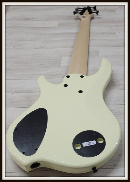 Dingwall Combustion Rosewood 6-String, Vintage White, Limited Edition