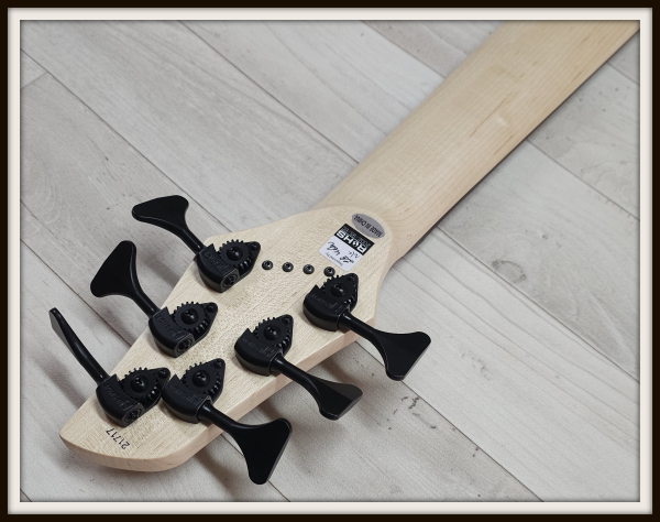 Dingwall Combustion Rosewood 6-String, Vintage White, Limited Edition