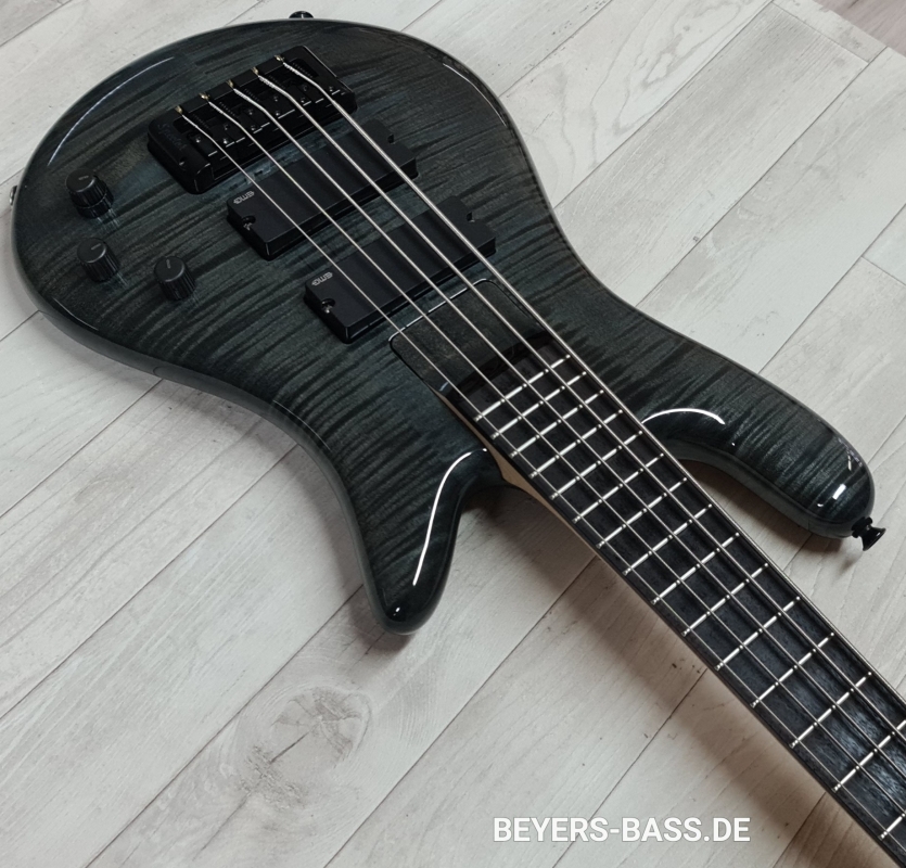 Spector Euro 5 Bantam, Black Stain Gloss
