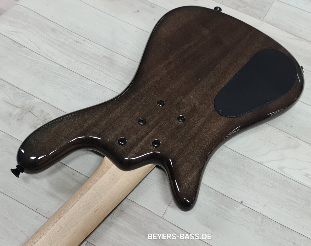 Spector Euro 5 Bantam, Black Stain Gloss