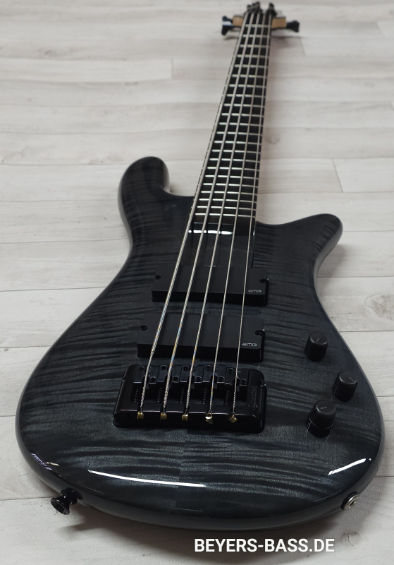 Spector Euro 5 Bantam, Black Stain Gloss, B-Ware