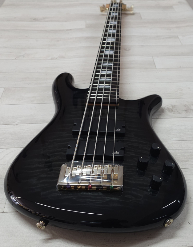 Spector Icon NS-5 Bolt-On, Black Stain Gloss