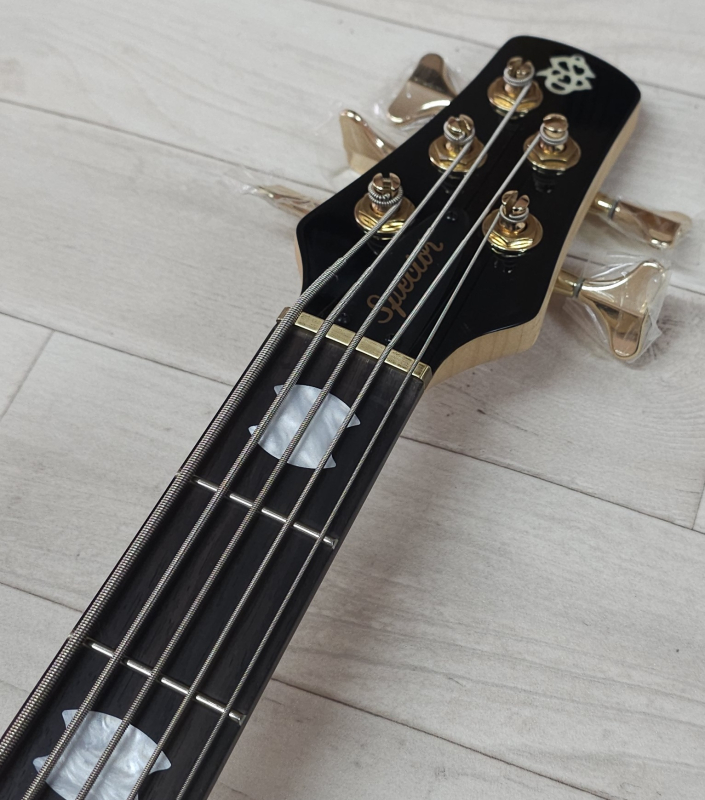 Spector Icon NS-5 Bolt-On, Black Stain Gloss