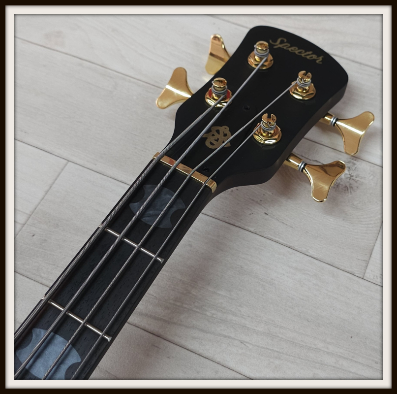 Spector Euro 4 Artist Rex Brown, Desert Gold, Signature