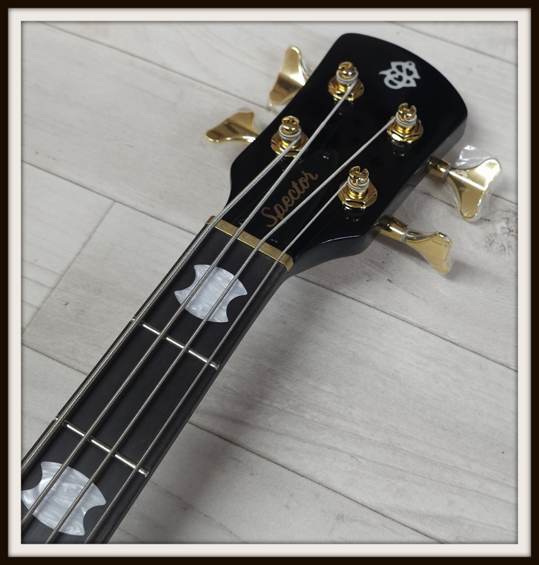 Spector Icon NS-2 Neck-Through, Black Stain