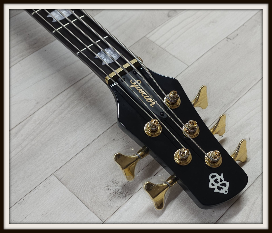 Spector Icon NS-5 Neck-Through, Black Stain