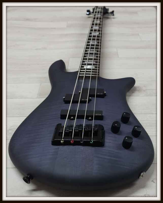 Spector Euro 4 LX Neck-Thru, Nightshade Matte