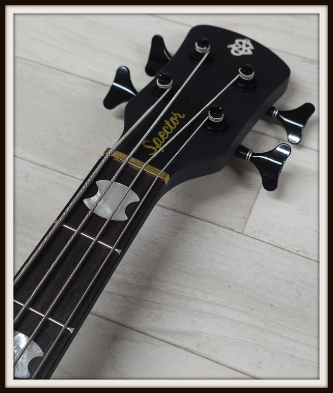 Spector Euro 4 LX Neck-Thru, Nightshade Matte