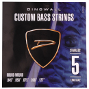 Dingwall DWSS5 Long Scale Stainless Steel Bass Strings, 45-127